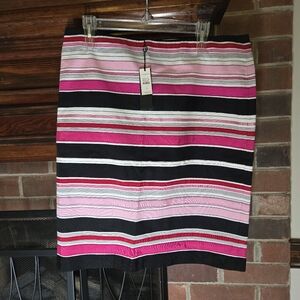 Talbots Pink and Black Striped Skirt